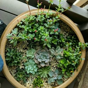 Meet your Posher, Tanvi